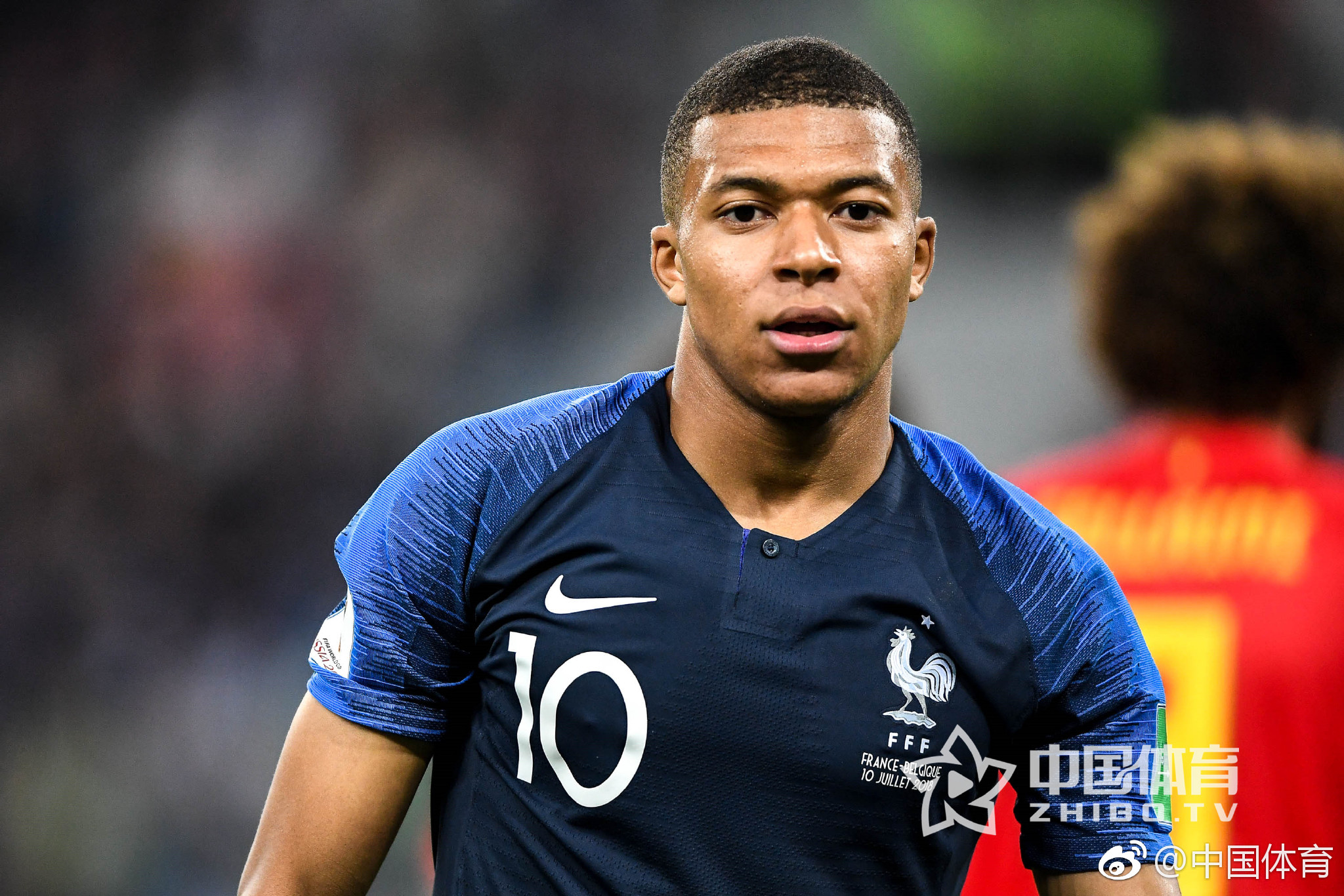 无论是自家 无论是自家