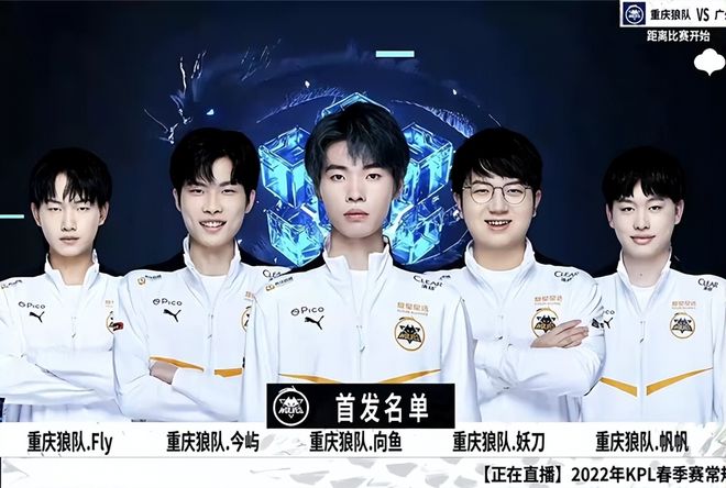 投资返利 投资返利